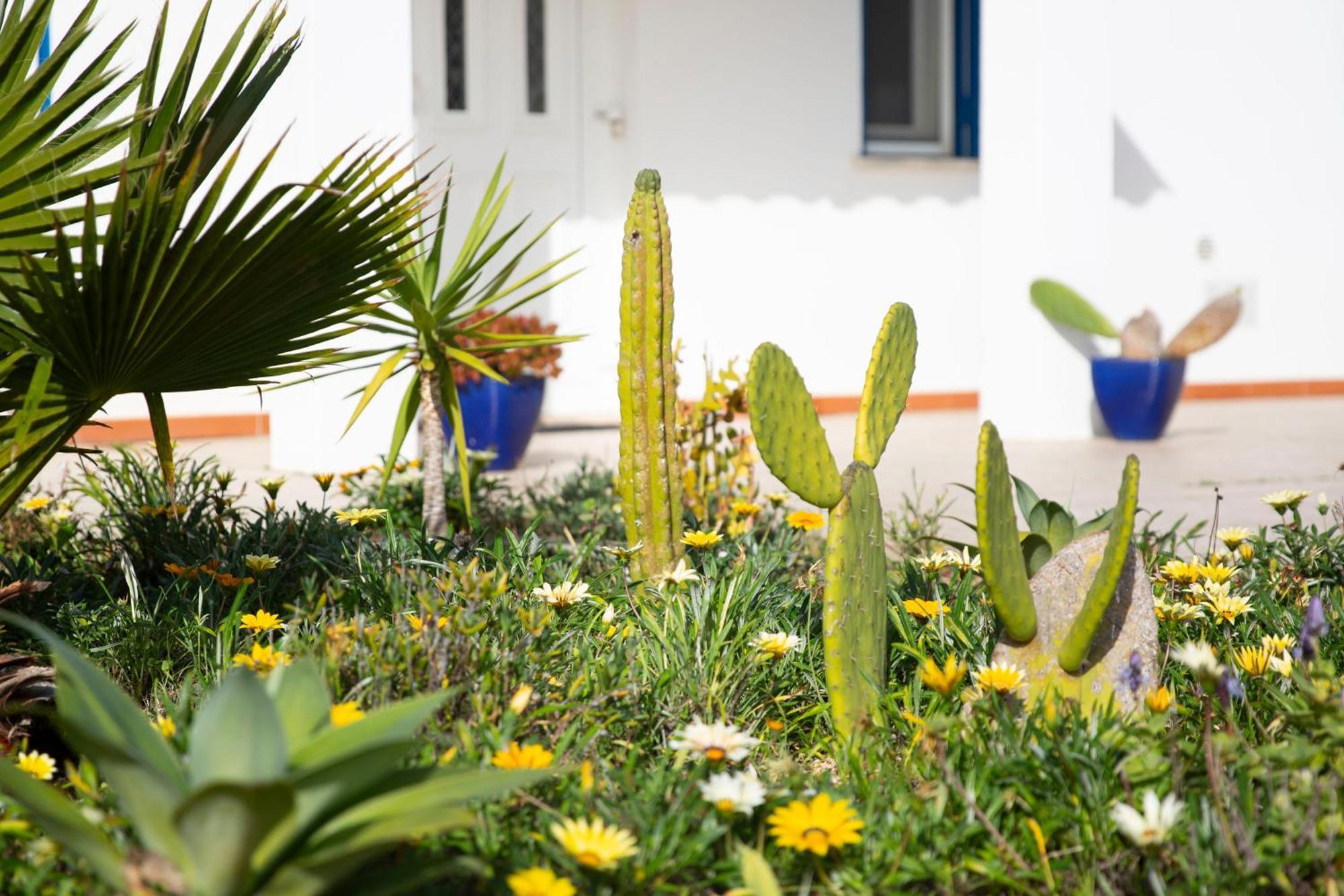Villa Marécasa à Aljezur Extérieur photo